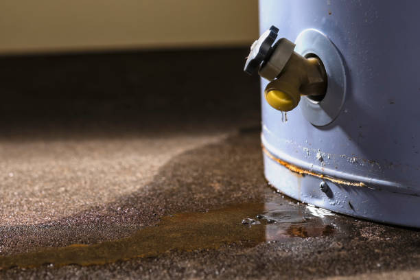 Best Water damage contractors near me  in Winfield, IL