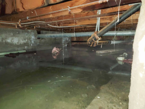 Best Sewage cleanup and water damage restoration  in Winfield, IL