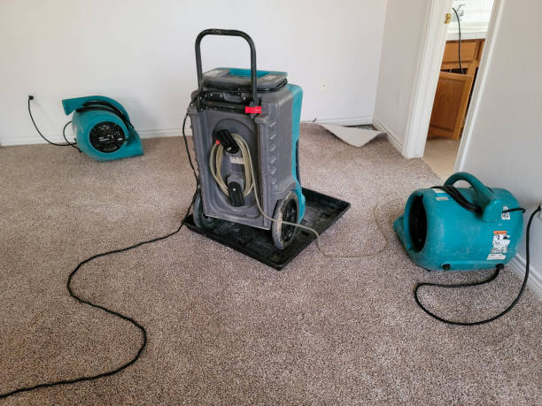 Best Flood restoration services  in Winfield, IL