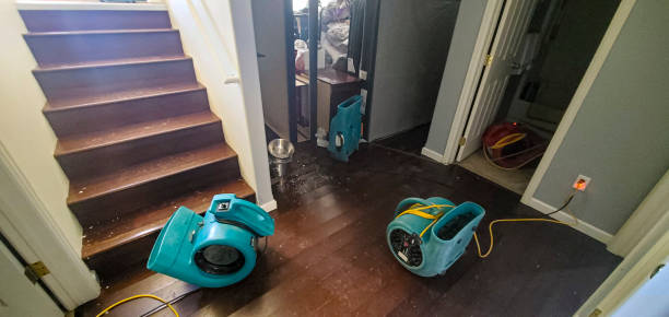 Best Emergency water damage restoration  in Winfield, IL