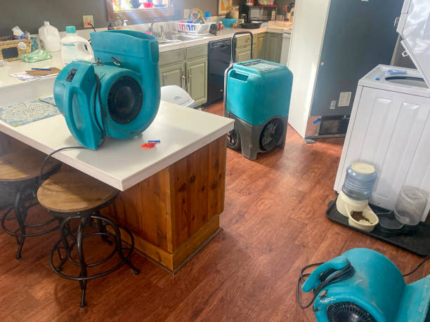 Best Carpet water damage restoration  in Winfield, IL