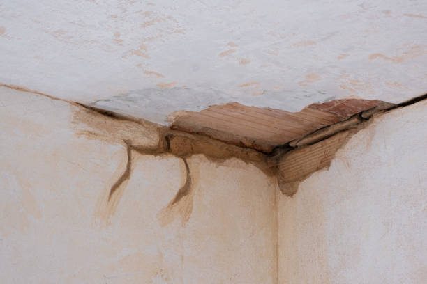 Best Local water damage restoration  in Winfield, IL