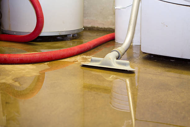 Best Water damage cleanup near me  in Winfield, IL