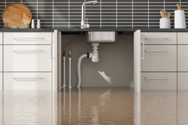 Best Basement water damage restoration  in Winfield, IL