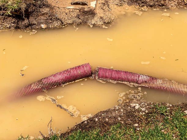 Best 24-hour water damage restoration  in Winfield, IL