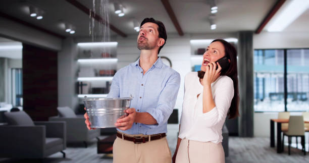 Best 24-hour water damage restoration  in Winfield, IL