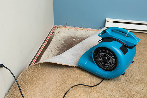 Best Emergency water damage restoration  in Winfield, IL
